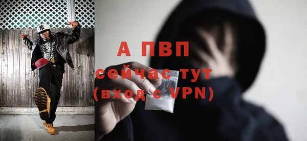 ешки Белокуриха