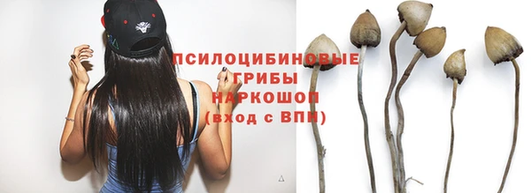 спайс Белоозёрский