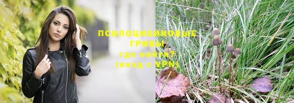 ешки Белокуриха