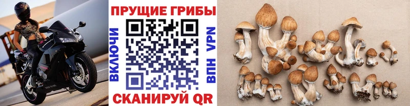 Купить  Сысерть  Псилоцибиновые грибы мухоморы 